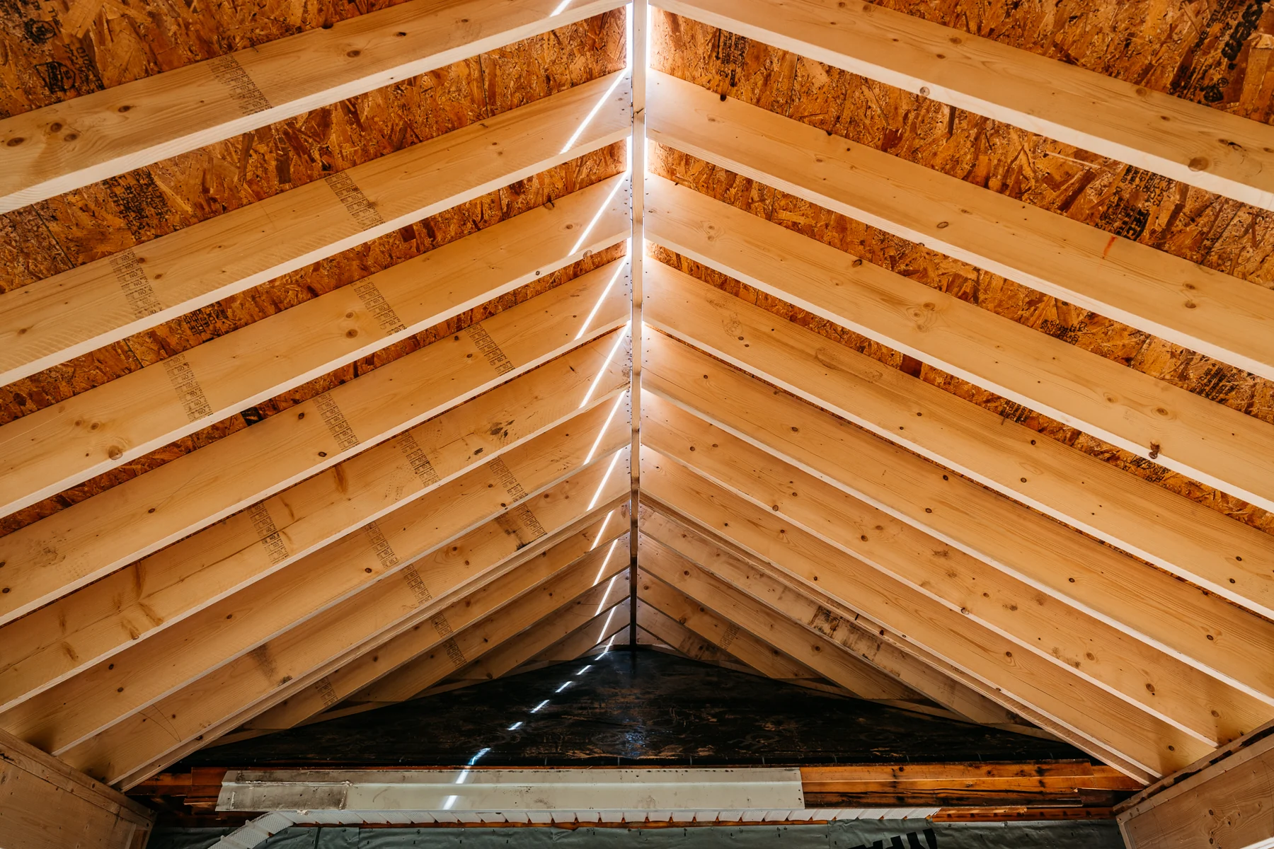 Detailed ground photograph of timber roof framing